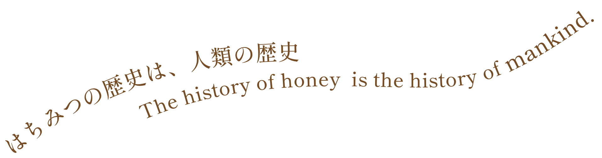 はちみつの歴史は、人類の歴史 - The history of honey  is the history of mankind.